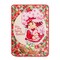 Strawberry Shortcake "Berry Special" Raschel Throw Blanket | 45 x 60 Inches